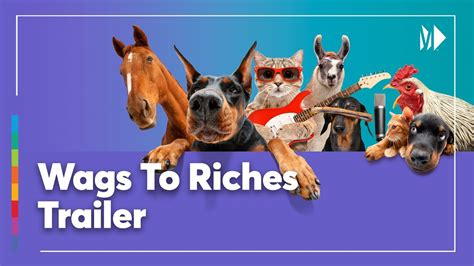 Wags to riches - Wags to Riches is a dog rescue & rehab specializing in saving dogs in need from areas with high rates of animal abuse and abandonment, and placing them in furever homes. See the dogs for adoption. 